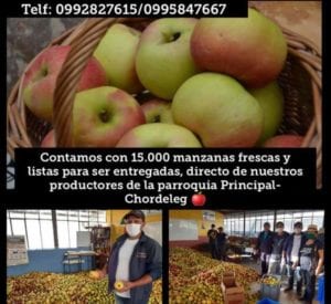 Un aviso a través del cual algunos productos de manzana, de Principal, ofertan su producto.(Cortesía)