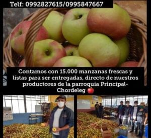 Un aviso a través del cual algunos productos de manzana, de Principal, ofertan su producto.(Cortesía)