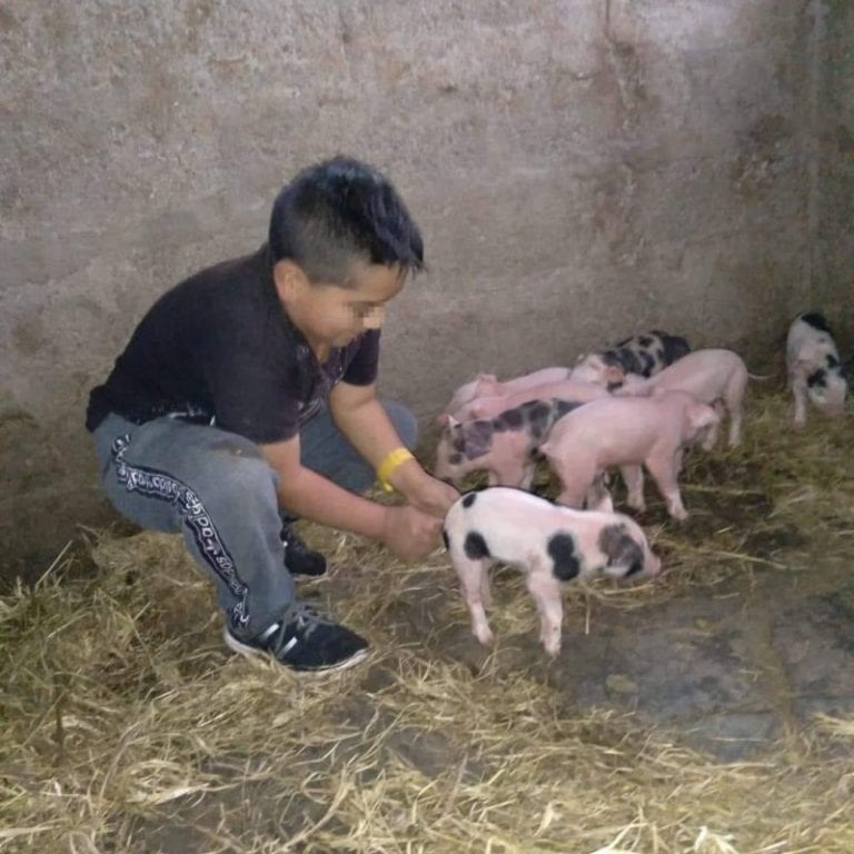 La historia de Juanito refleja las dificultades del acceso a la educación en el sector rural