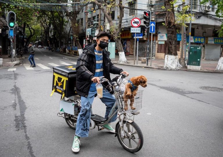 Las mascotas, víctimas colaterales del coronavirus en China
