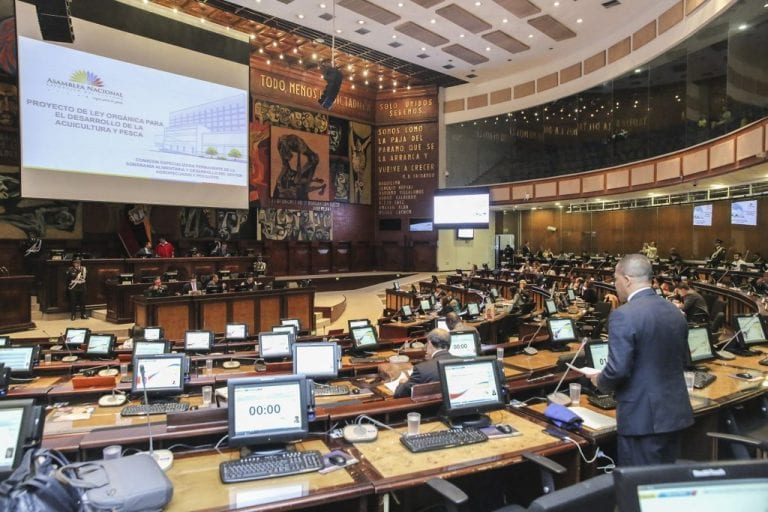 La nueva Asamblea de Ecuador ante el reto de consolidar mayorías