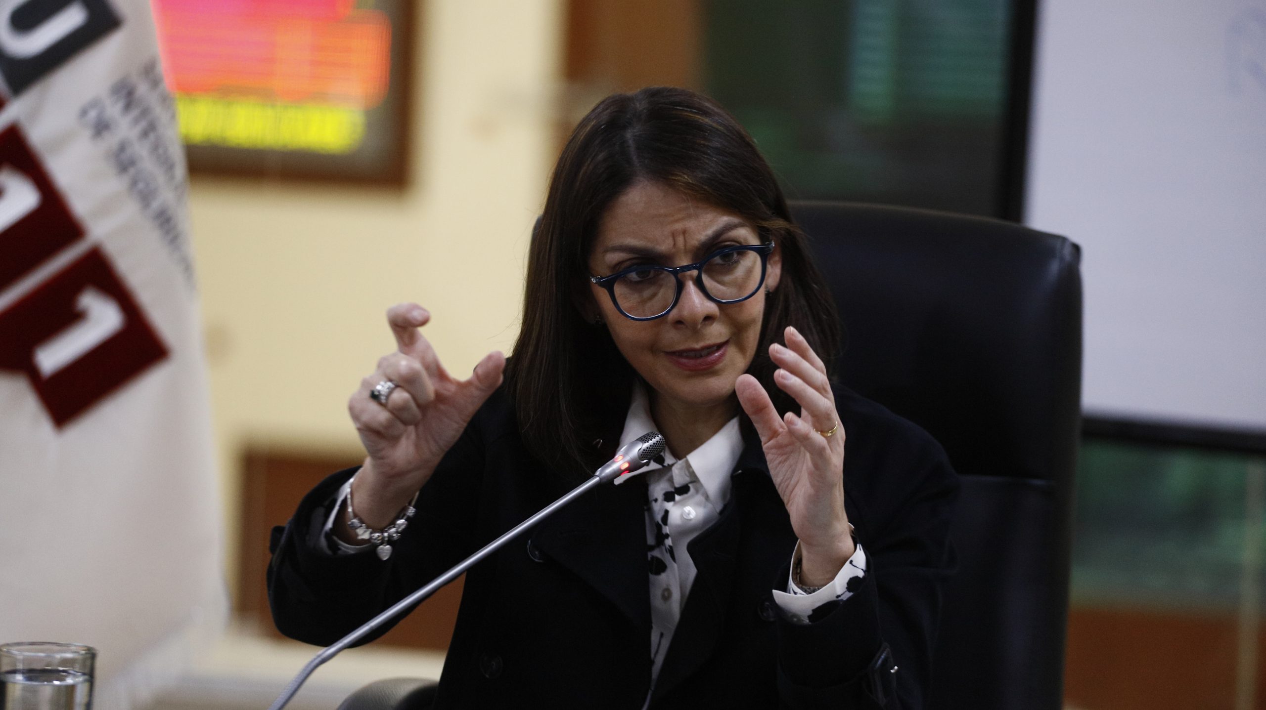Ximenea Garzón