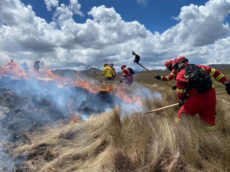 Campaña contra los incendios forestales en Cuenca