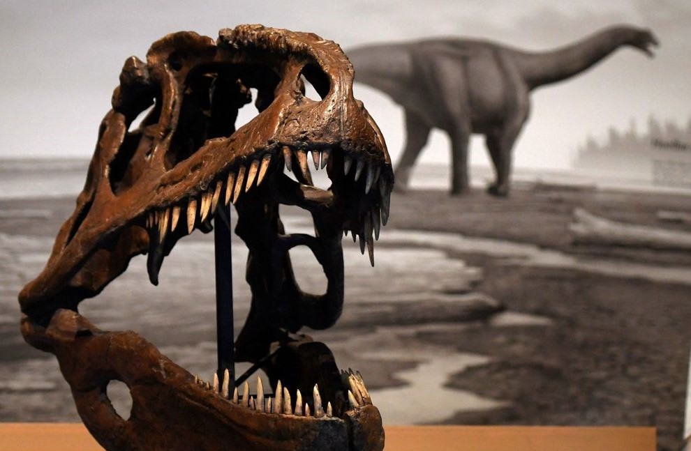 Dinosaurios