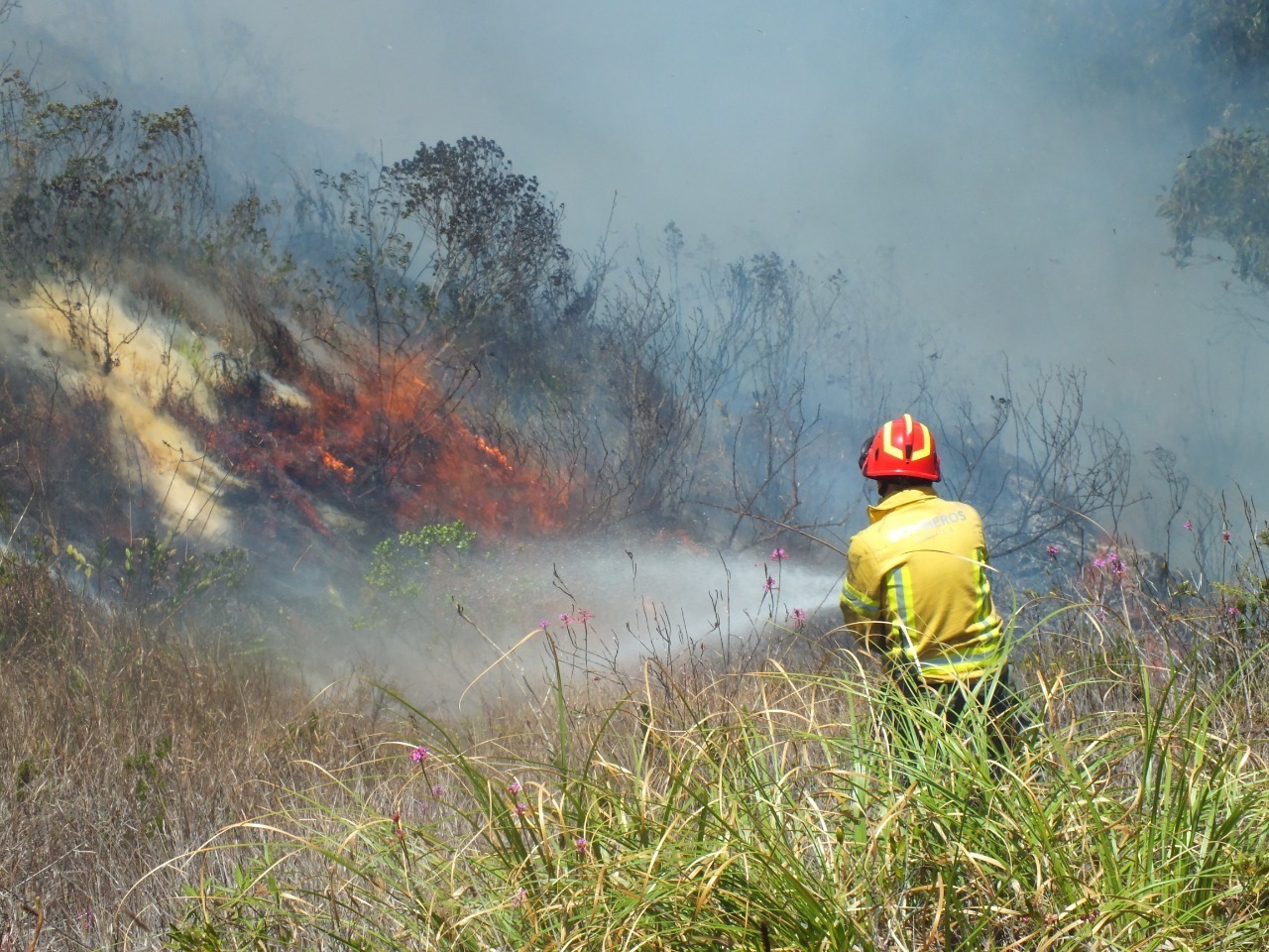 Incendio Forestal