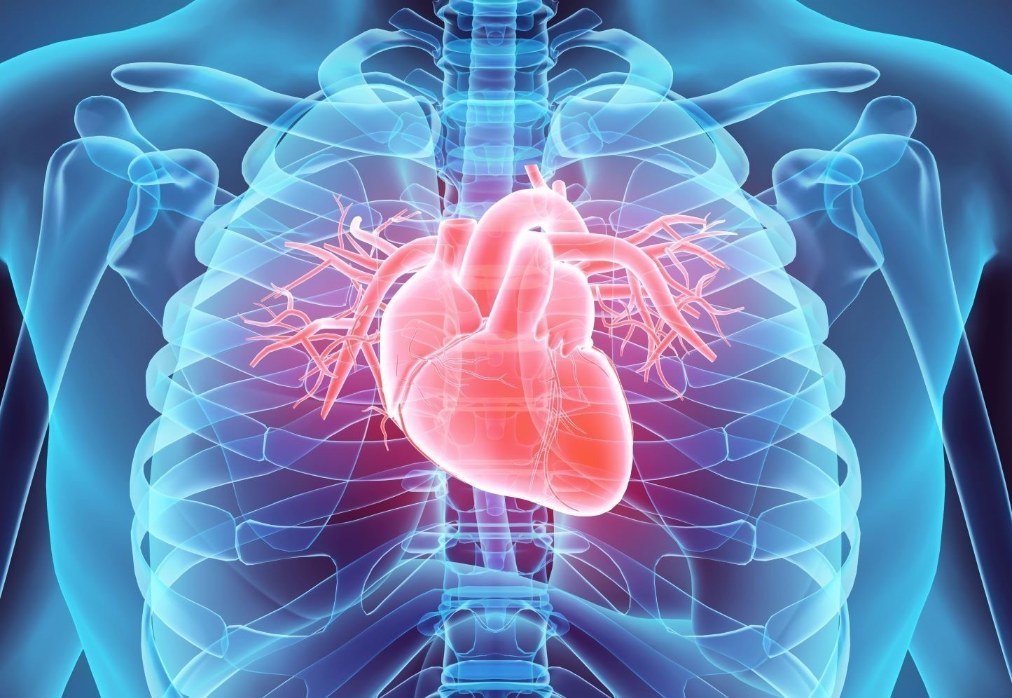 Corazón