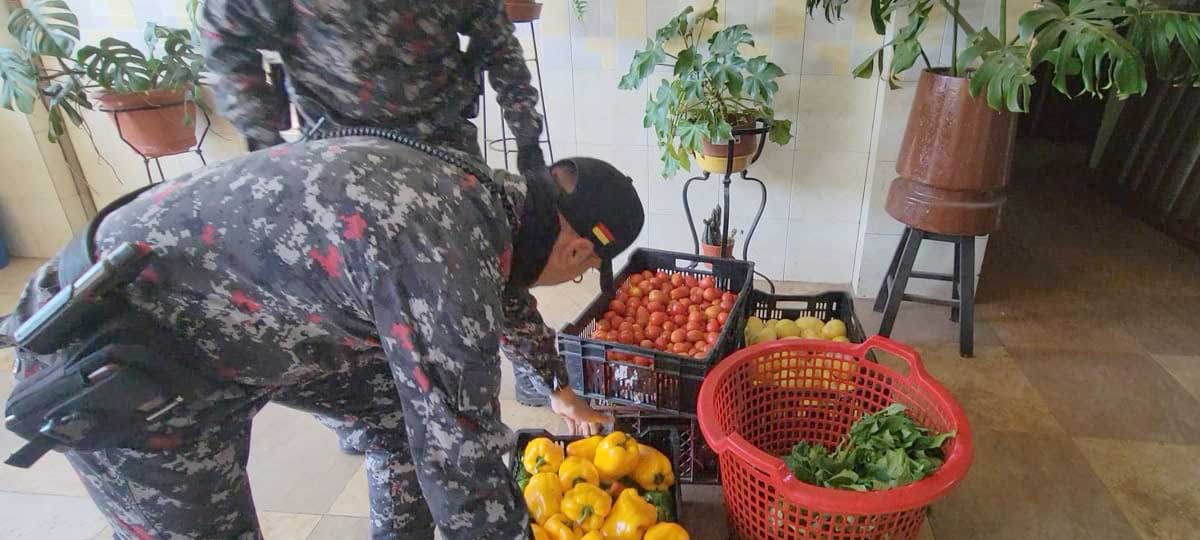 Guardia ciudadana