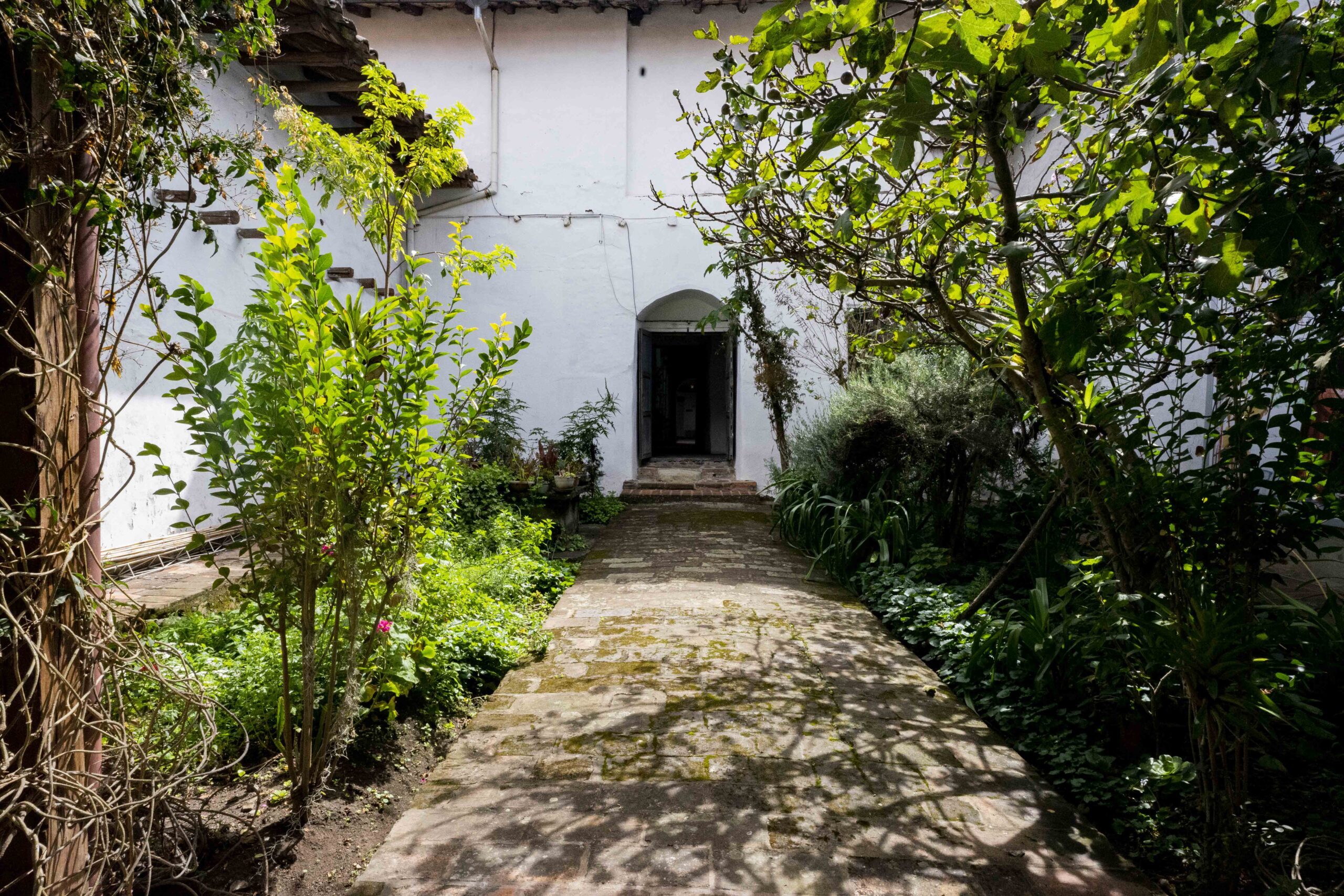 Museo conceptas