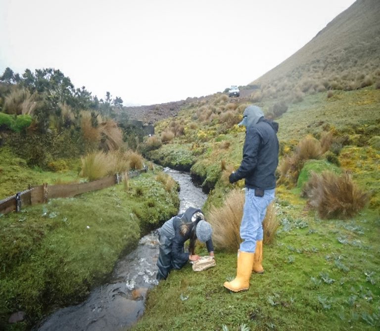 Consulta Popular: Dos expertos analizan la pregunta para la protección del agua