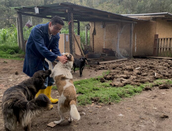 image00003 Fundación Adopta No Compres Cuenca