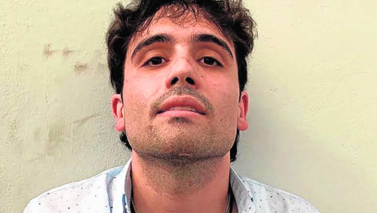 Ovidio Guzman