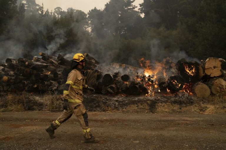 Aumentan a 26 los fallecidos por incendios forestales en centro-sur de Chile