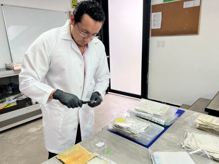 <strong>Proyecto diseño y creación de Papel de Ají a base de Residuos</strong>