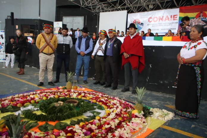 MARCHA-CONAIE-CORTE-CONSTITUCIONAL