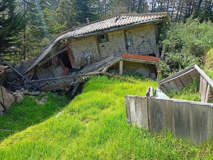Cuchucún en Caña Cuchucún en Caña