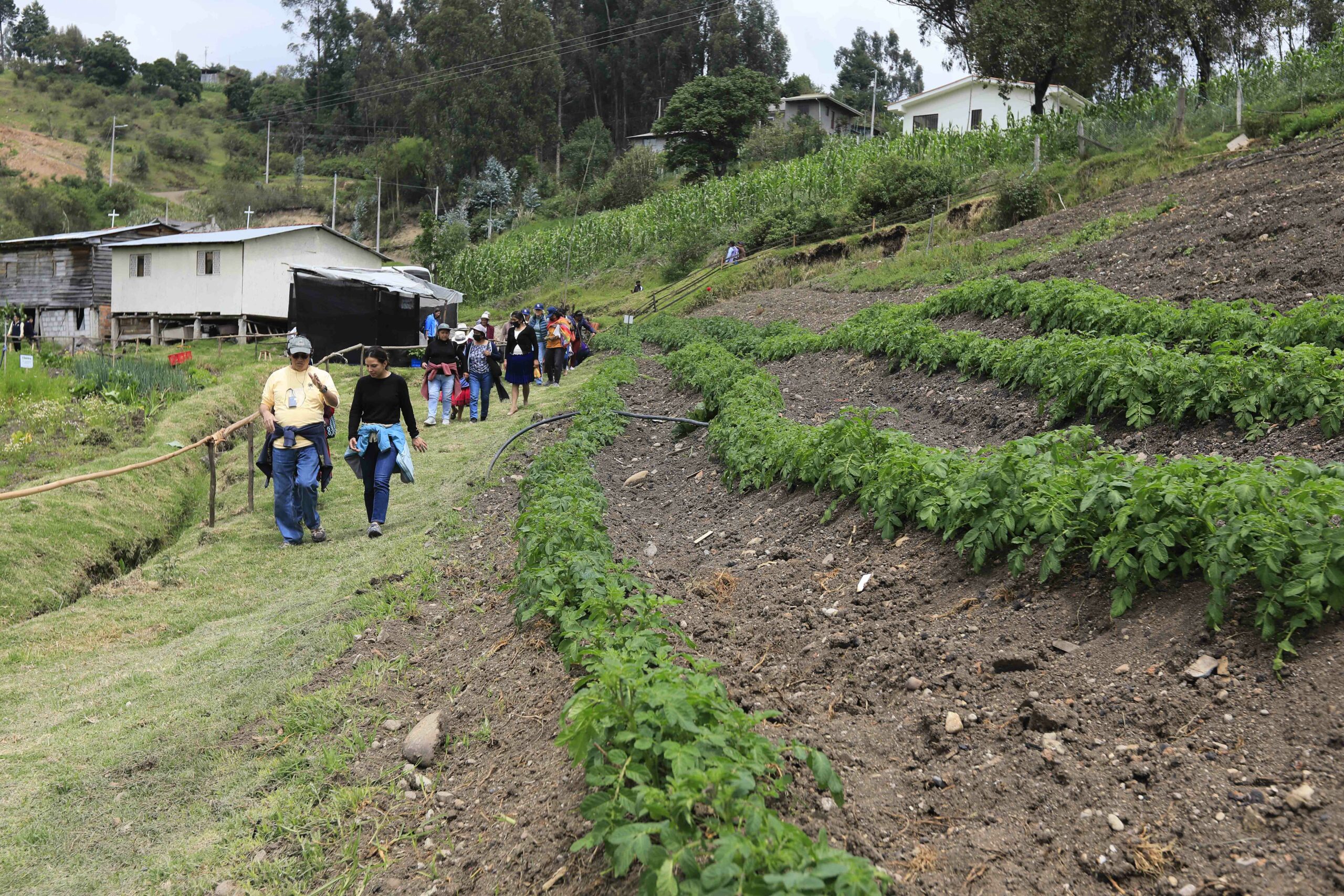 Producción Azuay