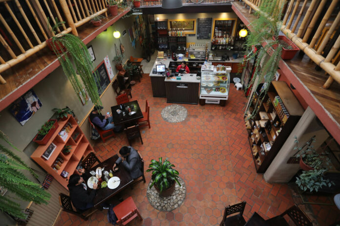 'Café San Sebas' es un espacio en el que sus propietarios estadounidenses se encargan de cosechar la mayor cantidad de ingredientes que usan para sus platos. /XCA
