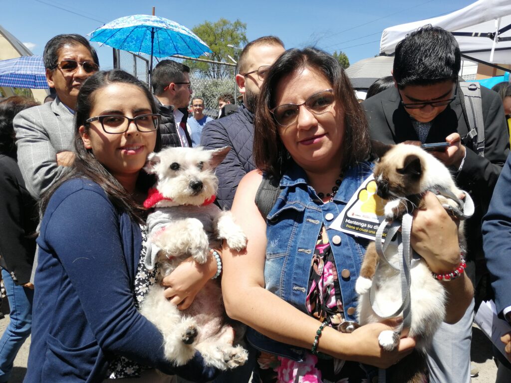 Tania Quezada y Tania Contreras con sus mascotas. Ellas rescatan gatos y los ponen en adopción. /FCS