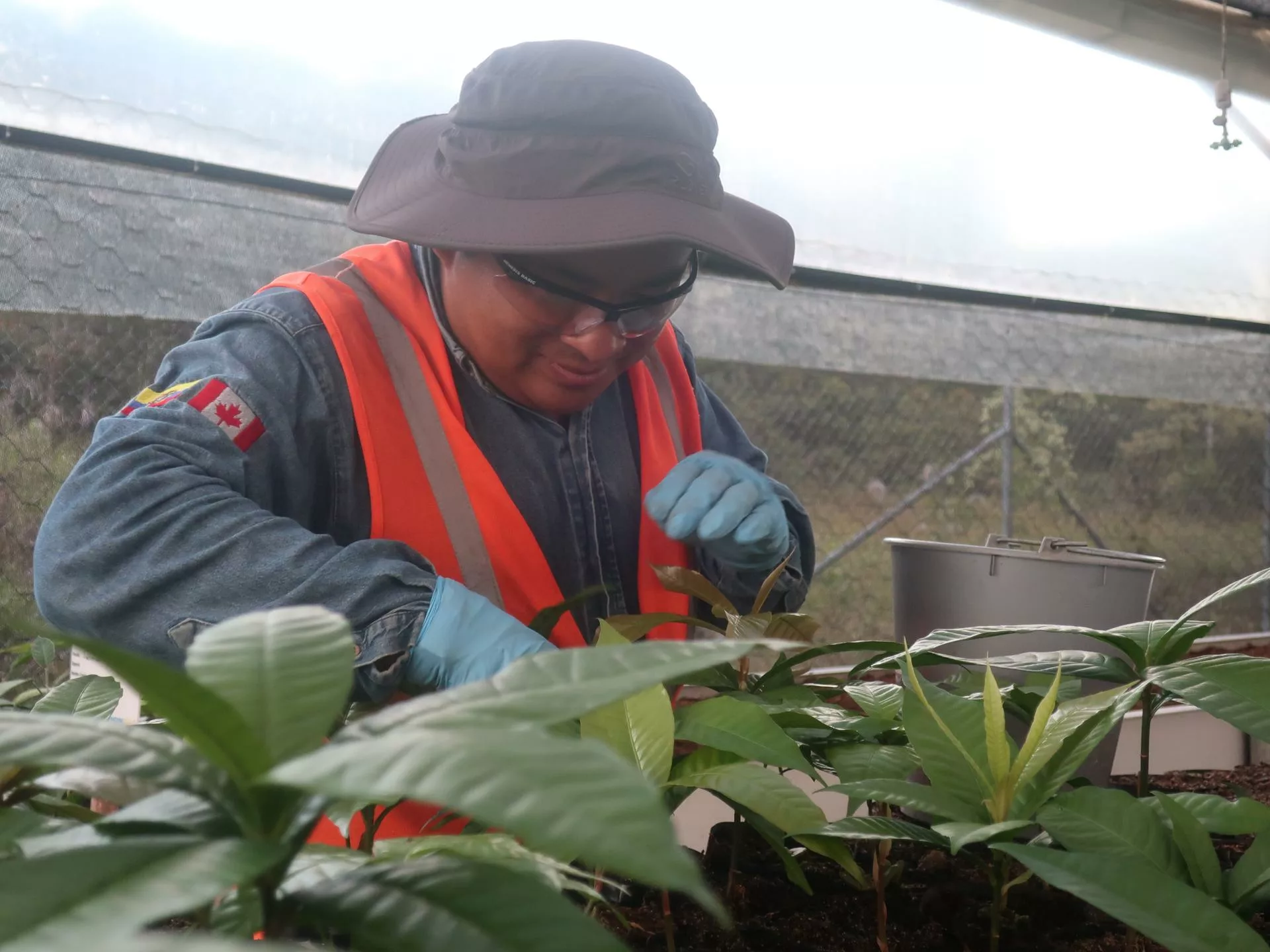 Ecuador tiene un "océano de conocimiento" en la Amazonía, donde los biólogos escudriñan la selva en busca de plantas y semillas.