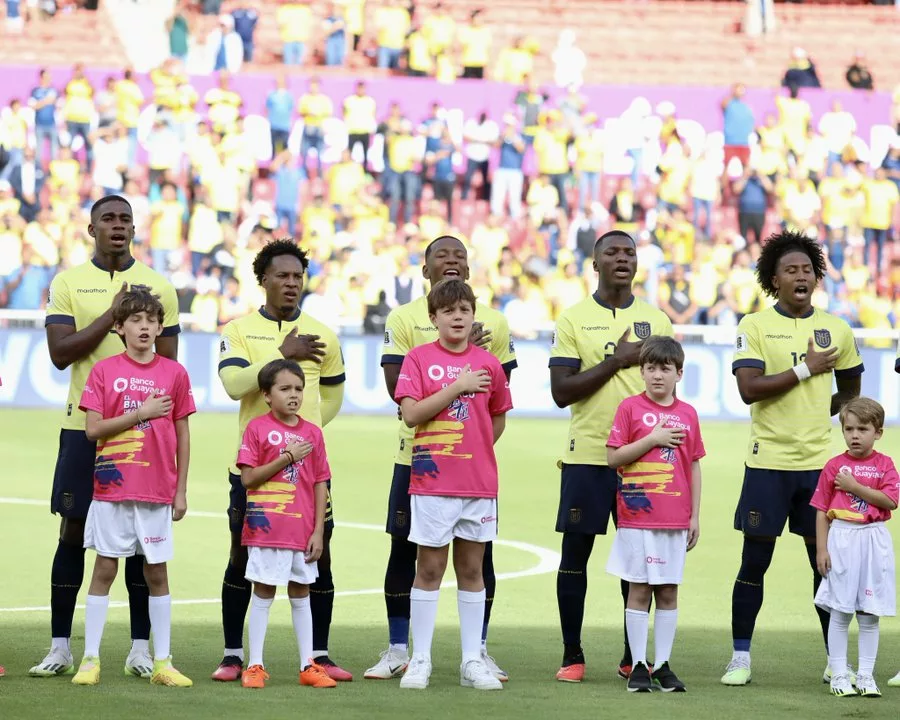 Ecuador cuenta con 26 convocados para los partidos ante Bolivia y Colombia en Eliminatorias. Foto: FEF
