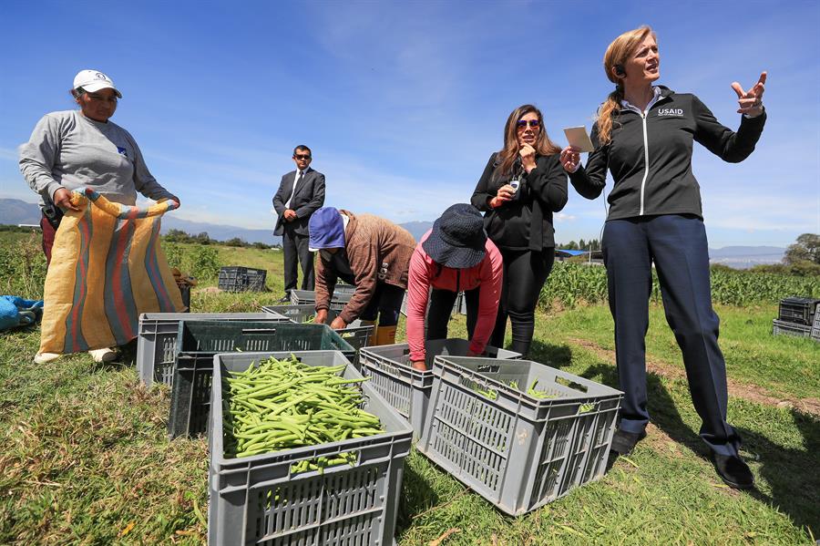 La Usaid lanzó una iniciativa público-privada para mejorar las condiciones de vida de unos 800 agricultores de Ecuador.