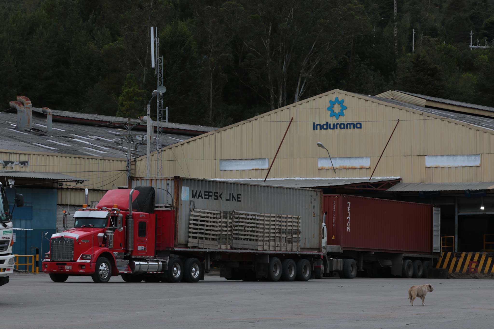 Las empresas ocupan el 90 % de lotes en el Ecoparque de Chaullayacu, ubicado en la parroquia Tarqui. XCA
