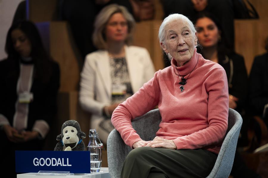 a reunión anual del Foro Económico Mundial de Davos (Suiza) llegó este viernes a su fin con Jane Goodall y su llamamiento a preservar la Naturaleza