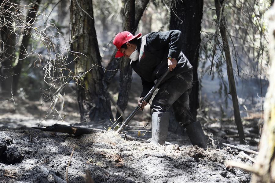 Un bombero trata de control uno de los focos de incendio.