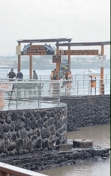 Nueve personas fueron rescatadas de un avioneta que cayó en una playa cercana a las Islas Galápagos. Foto captura de pantalla