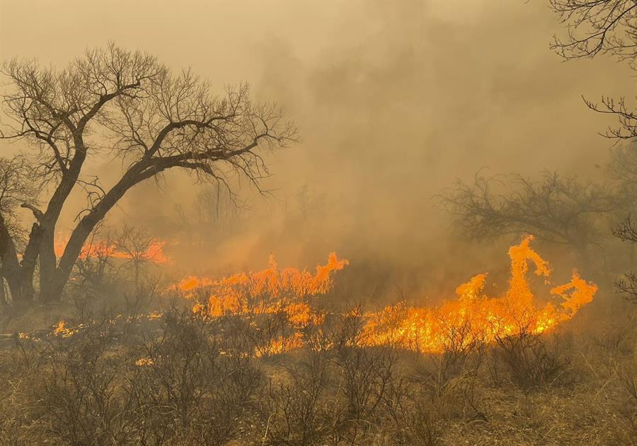 Los bomberos continúan este lunes buscando controlar los incendios forestales en Texas. EFE
