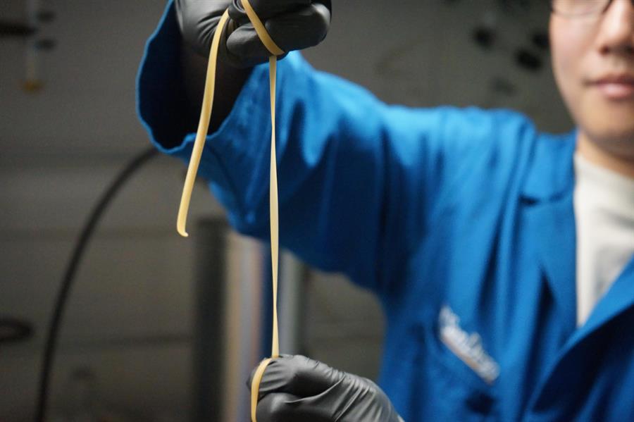 Un equipo internacional de investigadores ha abierto un halo de esperanza frente a uno de los problemas ambientales más graves, la contaminación por plástico, al diseñar un material biodegradable compuesto de unas bacterias con la capacidad de descomponerse al final de su vida útil. En la imagen, bolitas de poliuretano termoplástico (i) y polvos de esporas (d) que se mezclan para fabricar el nuevo material de termoplástico biocompuesto degradablepreparación del nuevo material de poliuretano termoplástico resistente y biodegradable. EFE