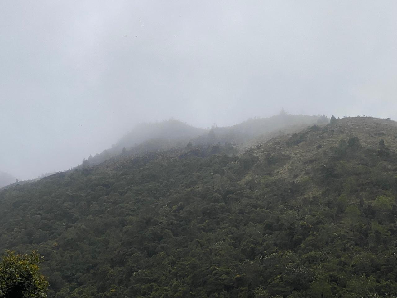 incendio forestal san joaquin