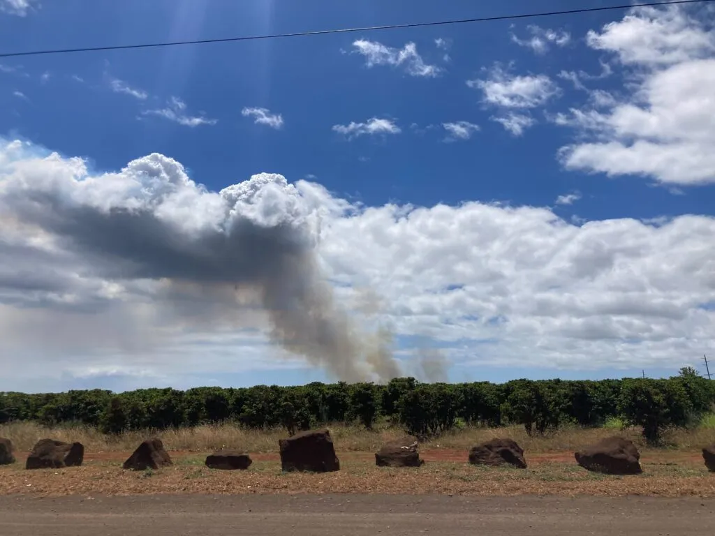Los residentes de unas 200 casas en la isla hawaiana de Kauai han sido evacuados y trasladados a albergues a raíz de los incendios forestales que se han registrado en el área