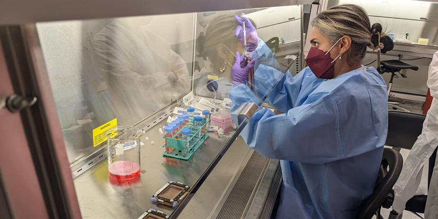 Una misión financiada por la NASA que despegará este sábado desde Cabo Cañaveral (Florida) con material científico a la Estación Espacial Internacional (EEI) tiene como una de sus prioridades lograr producir por primera vez células madre en microgravedad. Llevaremos a cabo todo el proceso de reprogramación de células madre pluripotentes inducidas en el espacio, y es la primera vez que se hace", dijo en un comunicado Arun Sharma, biólogo de células madre e investigador científico del Instituto de Medicina Regenerativa de Cedars-Sinai. EFE