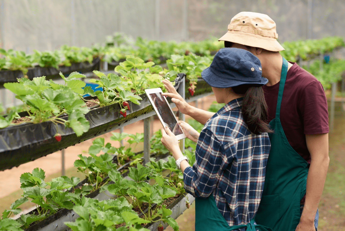El programa AgriFoodTech busca invertir en al menos 18 emprendimientos en los próximos dos años.