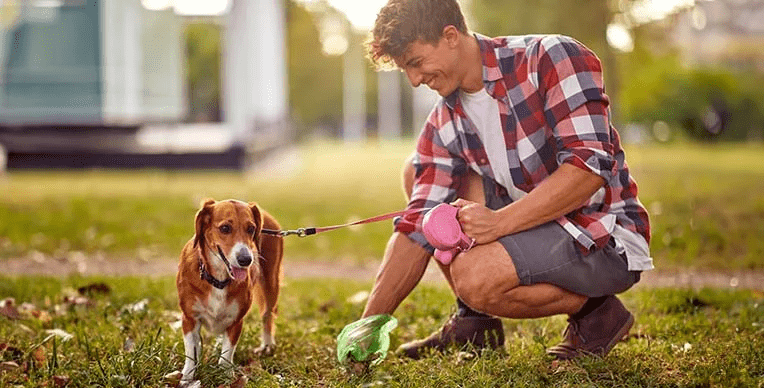 El color de las heces del perro puede ser un indicador importante de su salud. Dependiendo de su tonalidad, consistencia y frecuencia pueden alertar sobre posibles enfermedades.