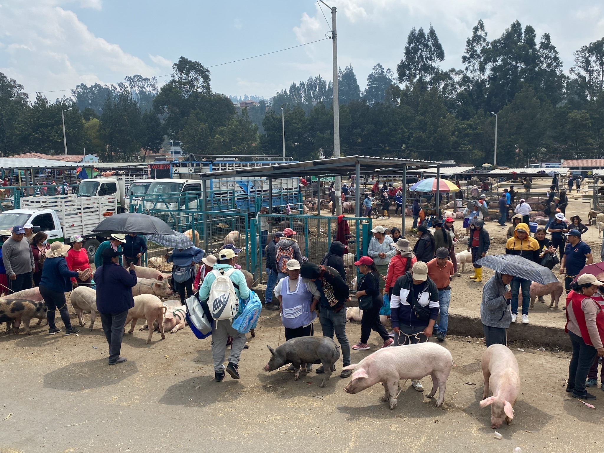 Reubicación - barrio