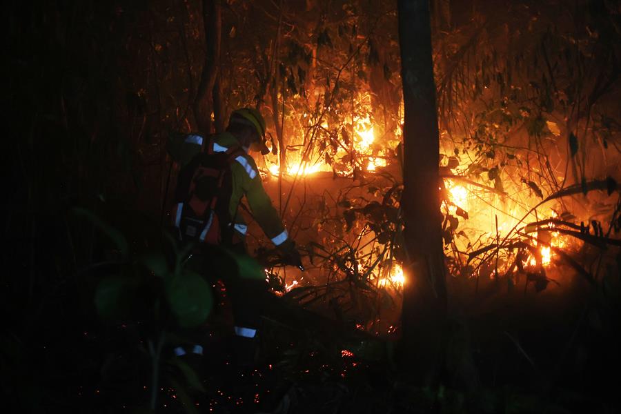 La lucha contra los incendios forestales en la región de la Chiquitania de Bolivia se extiende hasta por 72 horas seguidas para algunos comunarios, bomberos y trabajadores de propiedades rurales que sin dormir o por turnos y con sus propios recursos intentan controlar las llamas que ya han arrasado con millones de hectáreas de bosques en el país andino. EFE