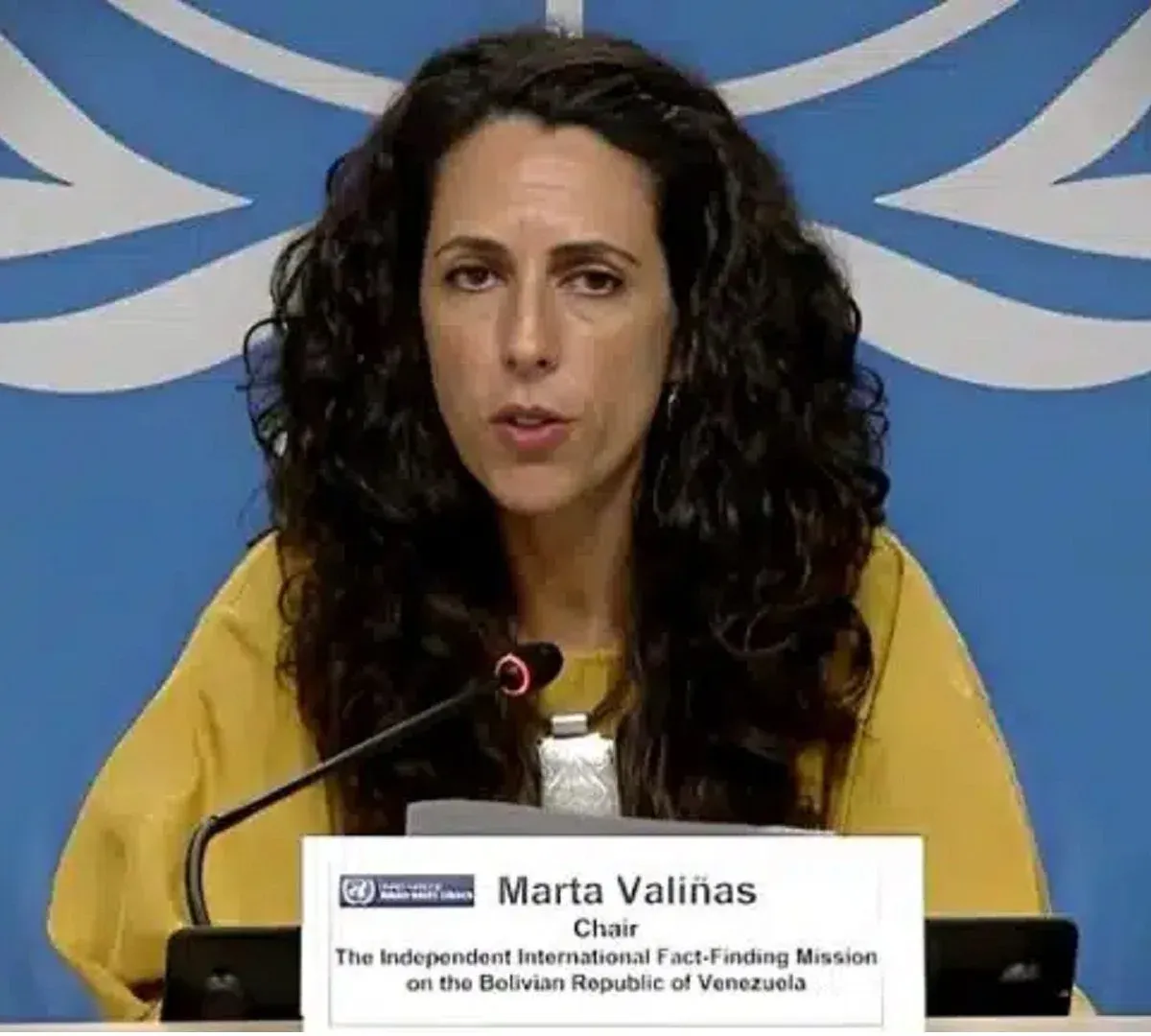 La misión, presidida por la jurista portuguesa Marta Valiñas, fue creada en 2019 por orden del Consejo de Derechos Humanos de la ONU con el objeto de investigar ejecuciones extrajudiciales, desapariciones forzadas, detenciones arbitrarias y otros tratos crueles, humanos y degradantes cometidos desde 2014.