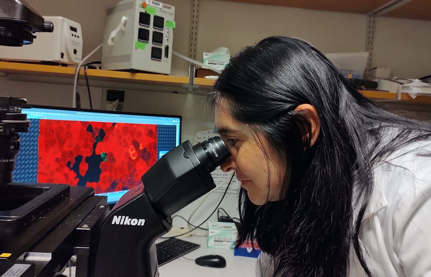 En su espacio de trabajo, Paola Molina combina pasión y ciencia para avanzar en la investigación del cáncer de mama, con la esperanza de contribuir a la salud humana.