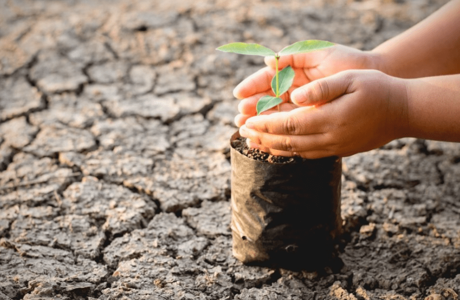 El calentamiento global y los cambios climáticos derivados de él están redefiniendo la forma en que las industrias operan, y la aseguradora no es la excepción.