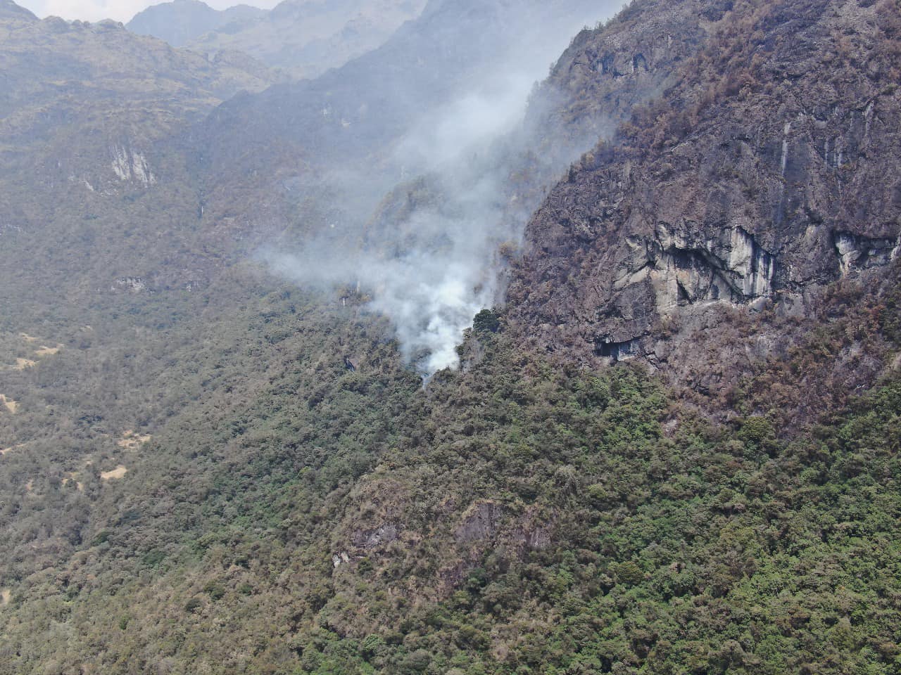 Los incendios forestales afectan a importantes zonas vegetales de Cuenca.