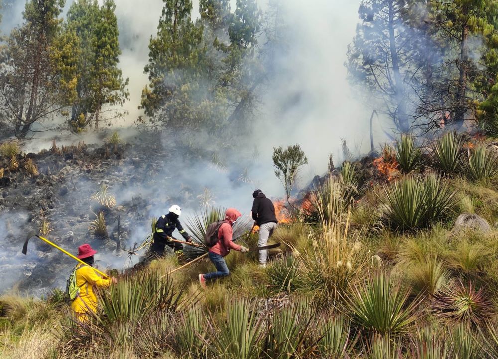 Guardaparques de ETAPA EP junto a cuadrillas de la EMAC EP y comuneros en las labores de combate del incendio forestal en el Parque Nacional Cajas.