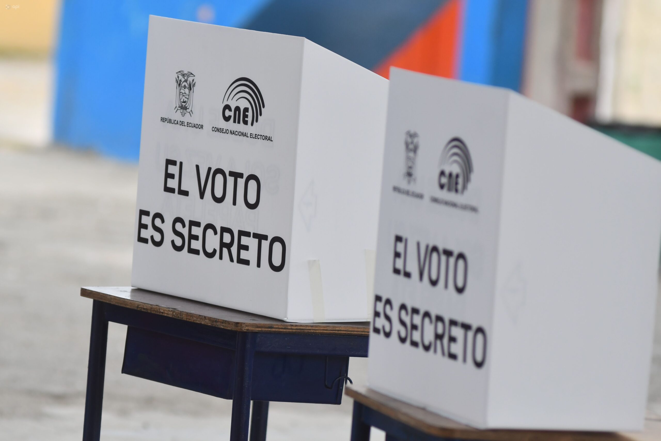 Elecciones 2025
