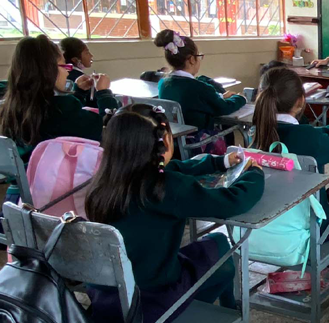 año lectivo 2024-2025