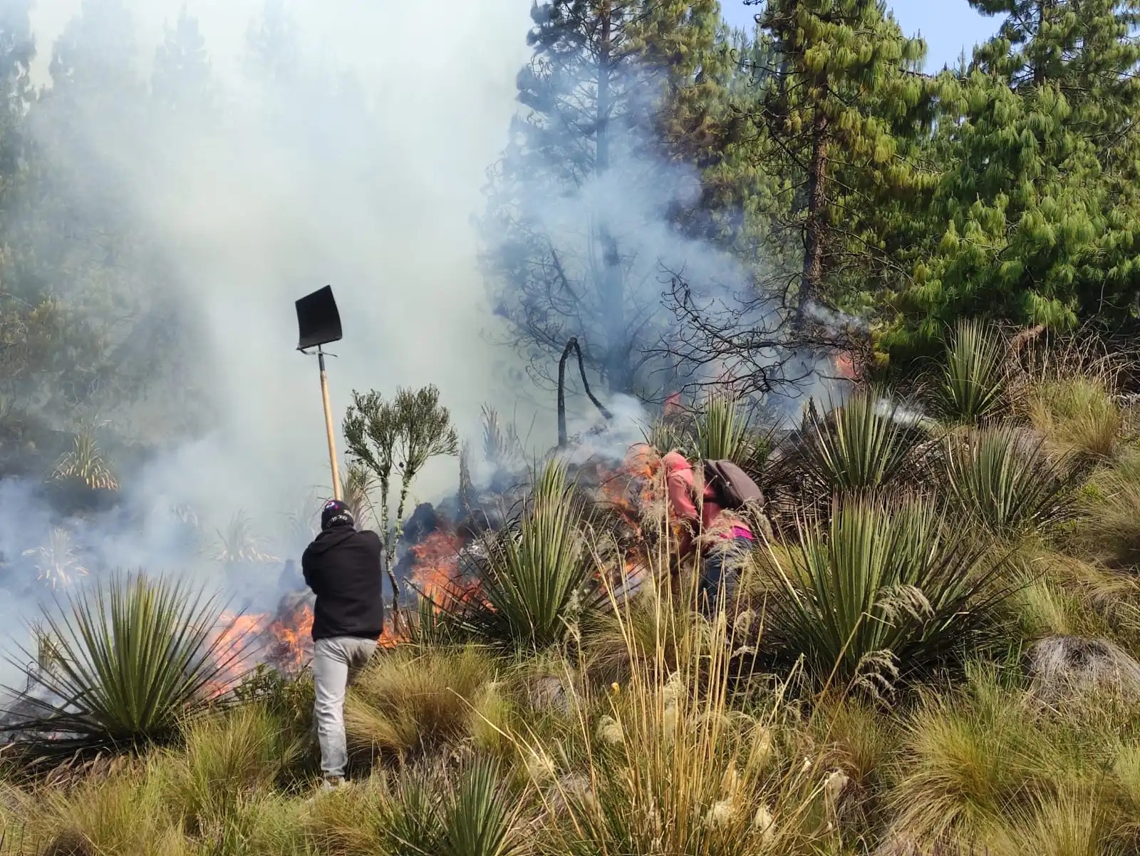 La principal insignia que se entregará será a los voluntarios y habitantes de las comunidades que trabajaron para enfrentar los incendios forestales de noviembre de 2024.
