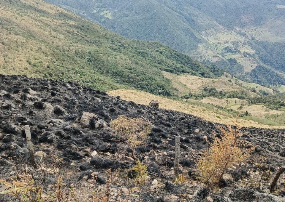 La minga de reforestación tendrá lugar en la comunidad de Río Blanco. En la imagen se observa como el incendio este sector, afectó a la vegetación.